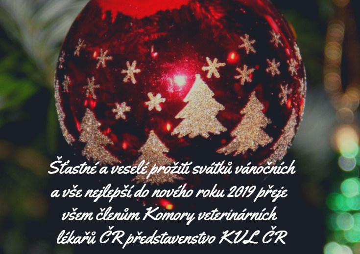 PF 2019